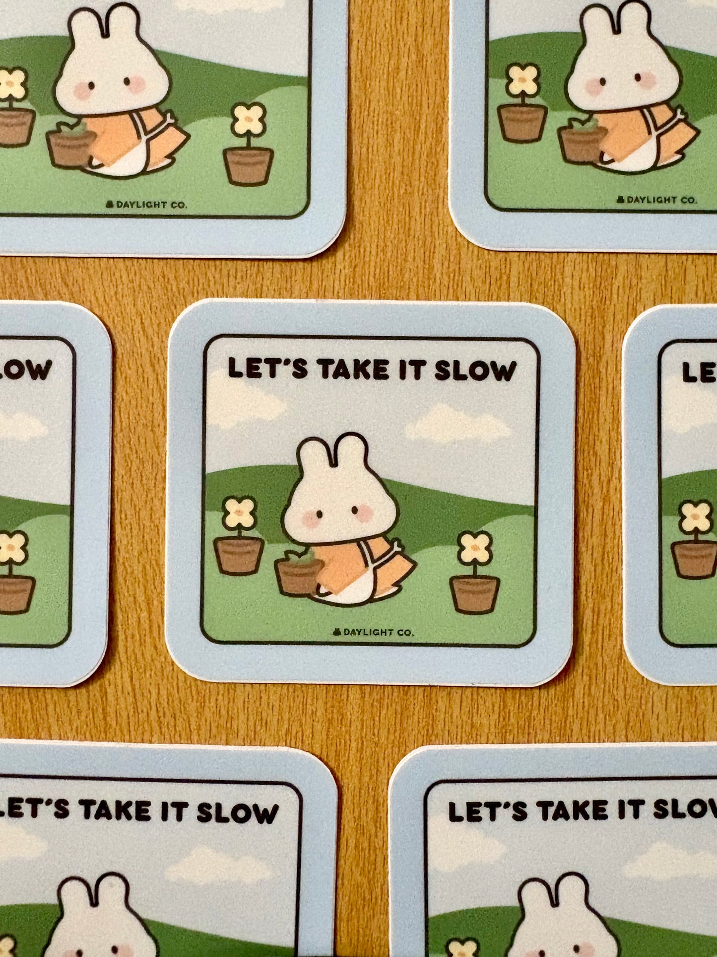 “Lets Take it Slow” Die Cut Sticker